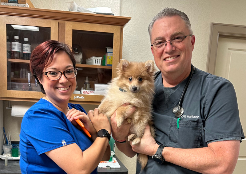 Carousel Slide 3: Puppy care!