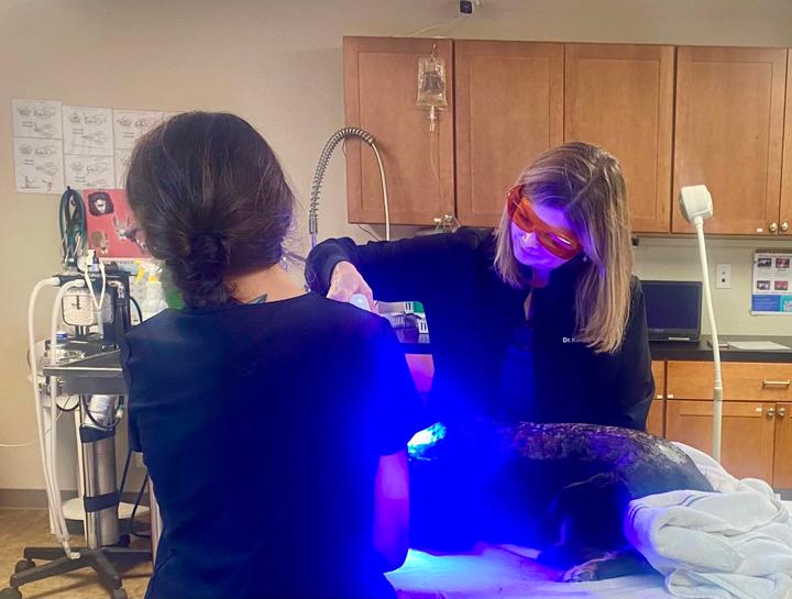 Pet Skin Allergies: scabs